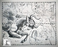 01 - Toro (mito)