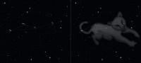 02 - Leone Minore (scienza)