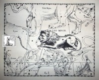 02 - Leone Minore (scienza)