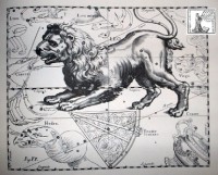 03 - Leone (mito)