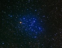 04 - Scorpione (scienza)