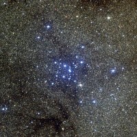 04 - Scorpione (scienza)