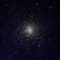 04 - Scorpione (scienza)
