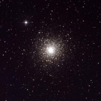 04 - Scorpione (scienza)