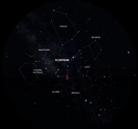 04 - Scorpione (scienza)
