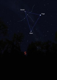 04 - Cigno (scienza)