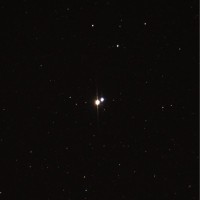 04 - Cigno (scienza)