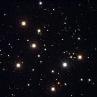 04 - Cigno (scienza)