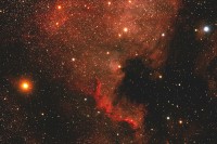 04 - Cigno (scienza)