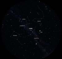 04 - Cigno (scienza)