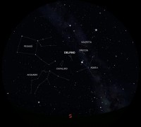 01 - Delfino (scienza)