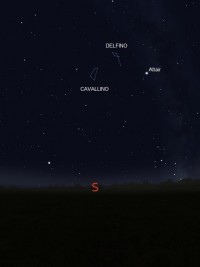 02 - Cavallino (scienza)