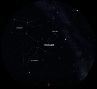 02 - Cavallino (scienza)