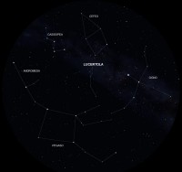 03 - Lucertola (scienza)