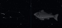 05 - Pesce Australe (scienza)