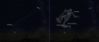 05 - Pesce Australe (scienza)