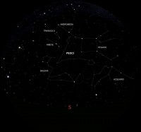 02 - Pesci (scienza)