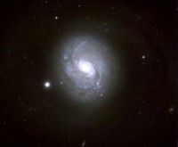 03 - Balena (scienza)