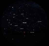 03 - Balena (scienza)