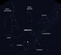 01 - Giraffa (scienza)