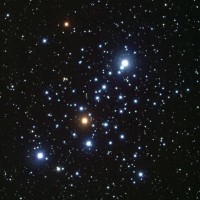 02 - Cassiopea (scienza)