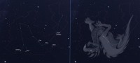 04 - Drago (scienza)