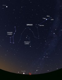04 - Drago (scienza)