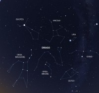 04 - Drago (scienza)
