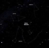 06 - Orsa Minore (scienza)